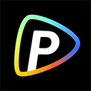 Pollo