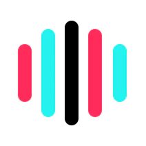 TikTok Voice